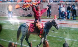 accseminoles