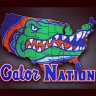 soxandgators