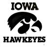 hawksupnya