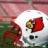 LvilleCardFan