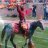 accseminoles