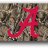 Alabama fan34