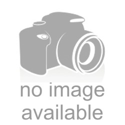 NCAA Logos