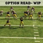 option